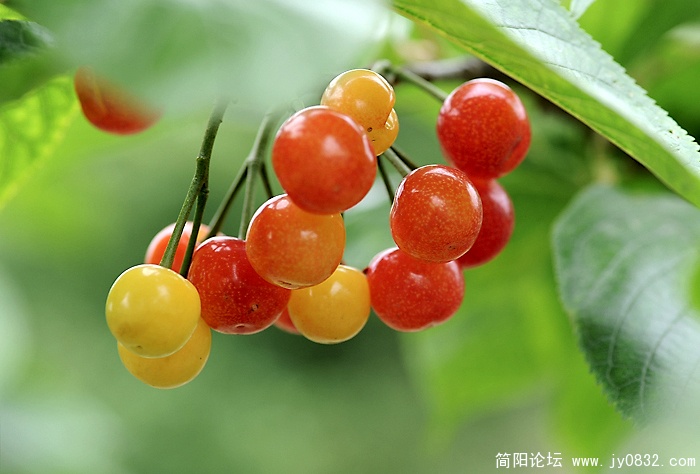 DSC_0512副本.jpg