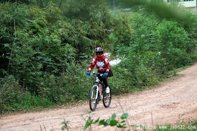 BigBull_DSC_1037.JPG
