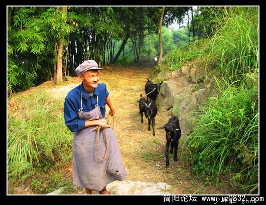 山寨人家.jpg