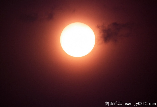 团委 005.jpg