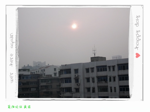 团委 007.jpg