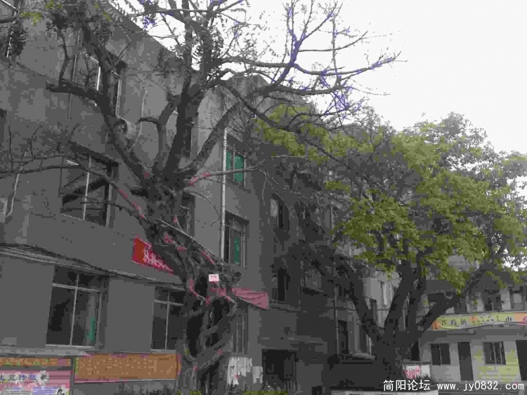 完全不懂的景象
