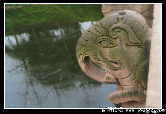 象.jpg