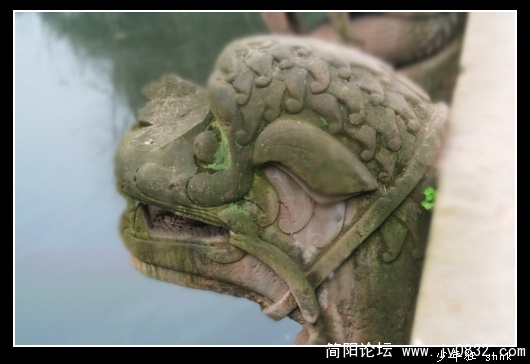 狮子.jpg