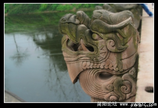 龙1.jpg
