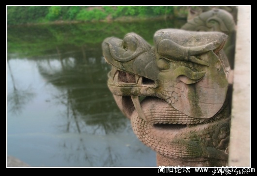 龙2.jpg