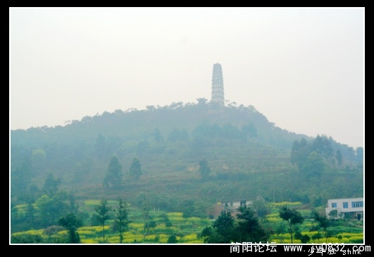 泸县塔.jpg