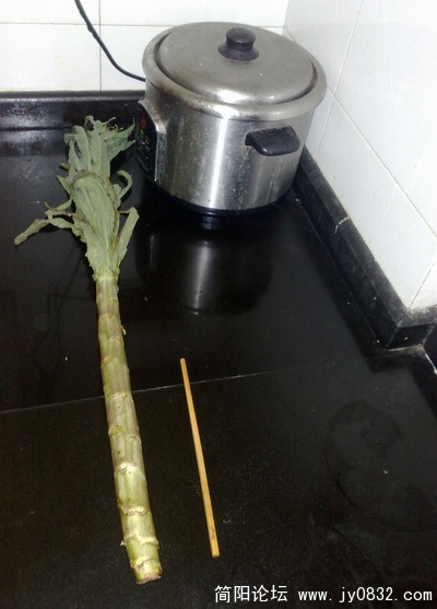 201005024577.jpg