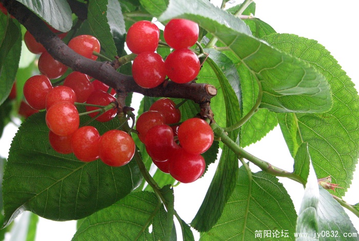 IMG_0461副本.jpg
