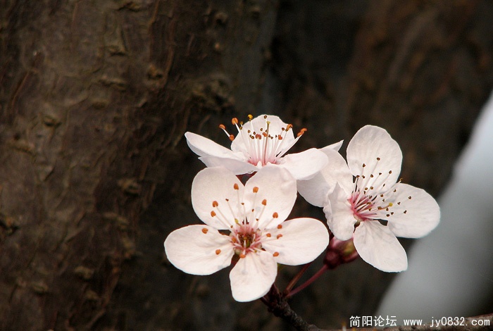 IMG_0259副本.jpg