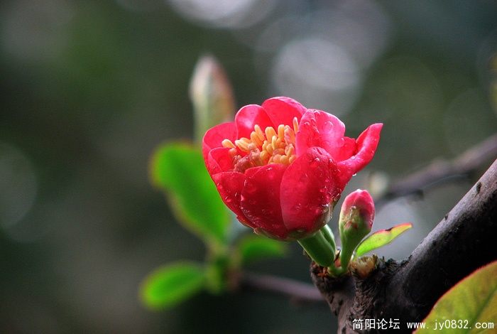 IMG_0234副本.jpg