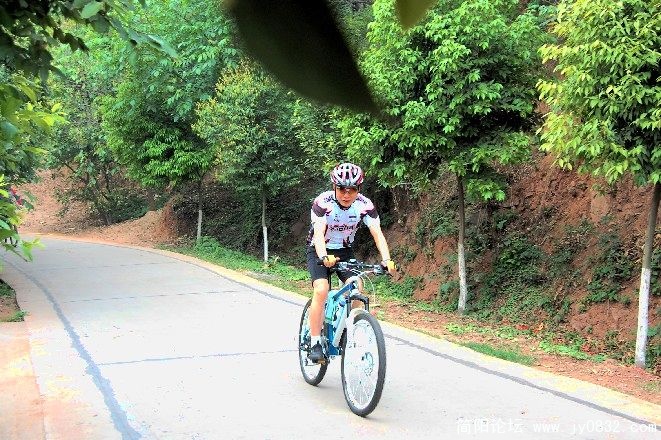 BigBull_DSC_1427.JPG