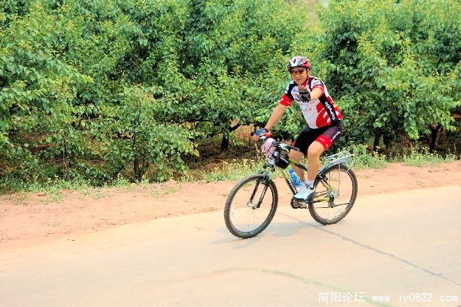 BigBull_DSC_1471.JPG