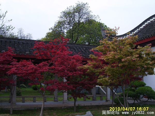 S6001059-1.jpg