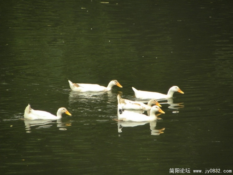 绛溪河1.jpg