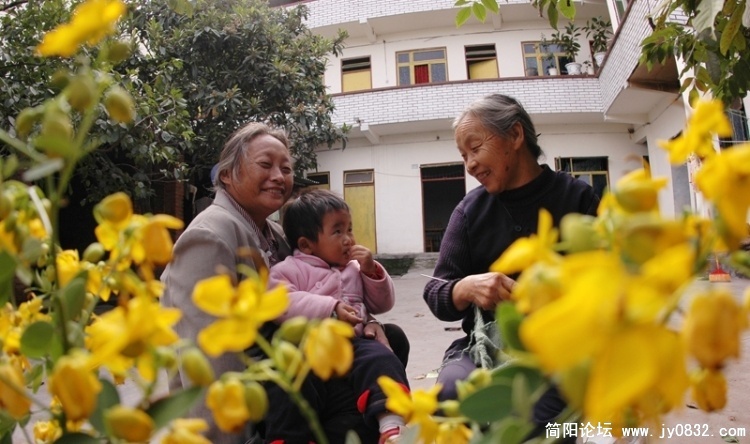 幸福像花儿一样开放.jpg