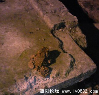 nEO_IMG_Image229.jpg