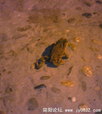 nEO_IMG_Image228.jpg