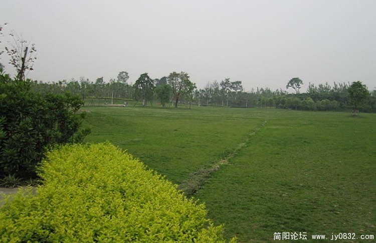 j4.jpg