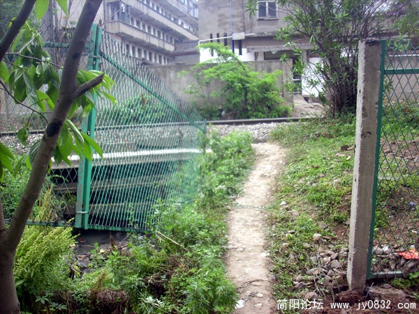 DSCI0041.jpg