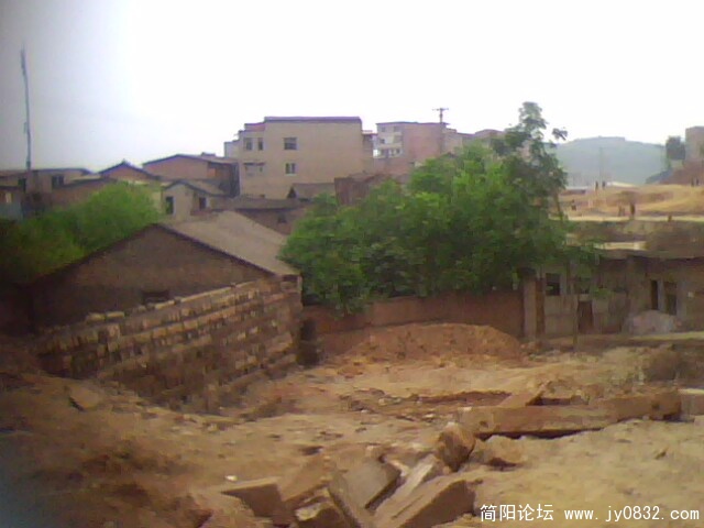 IMG1272A.jpg