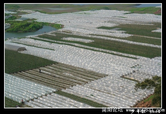田园.jpg