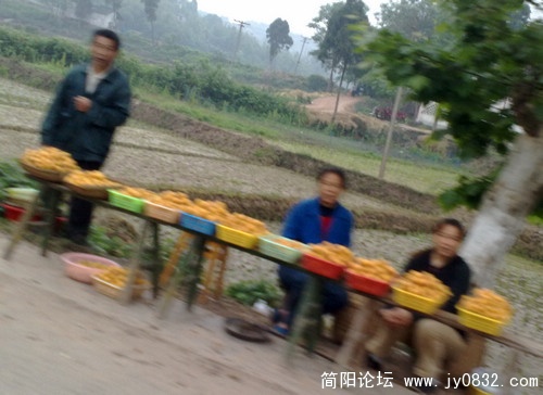 201005124716.jpg