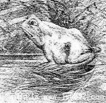 1207457765265_000.jpg