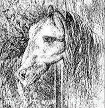 1207457854770_000.jpg