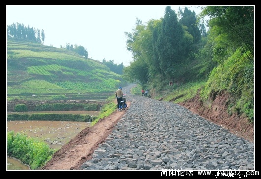 满路乱石.jpg