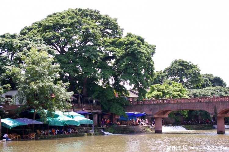 IMGP5672.jpg