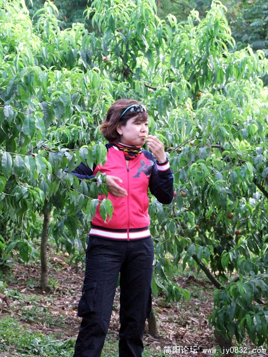 DSCF3576.jpg