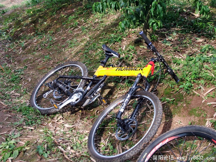 DSCF3582.jpg