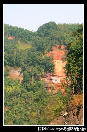 红崖绿树.jpg