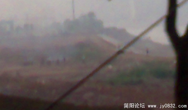 201005284808.jpg