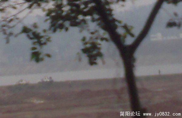 201005284818.jpg
