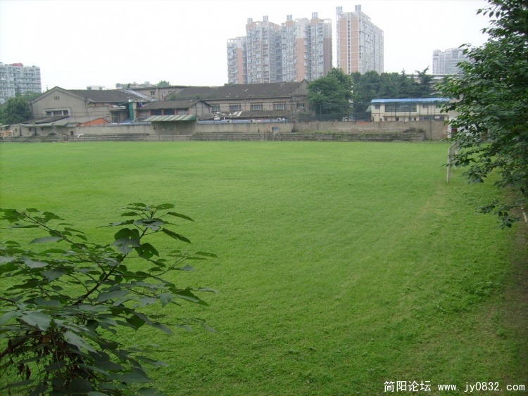 S7302051.JPG