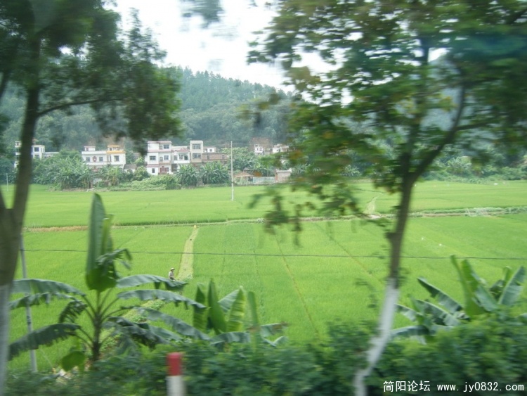 DSCF2143_缩小大小.jpg