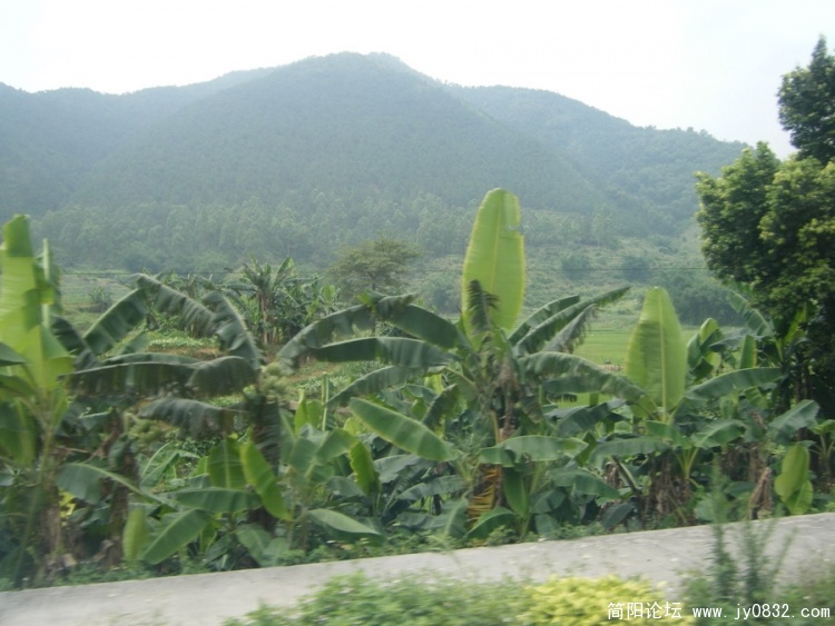 DSCF2142_缩小大小.jpg