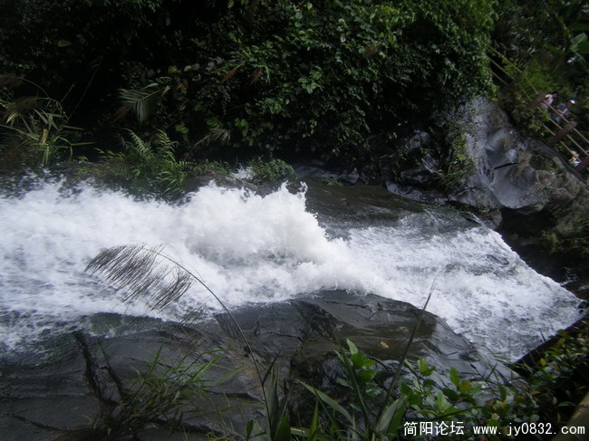 DSCF2221_缩小大小_缩小大小.jpg