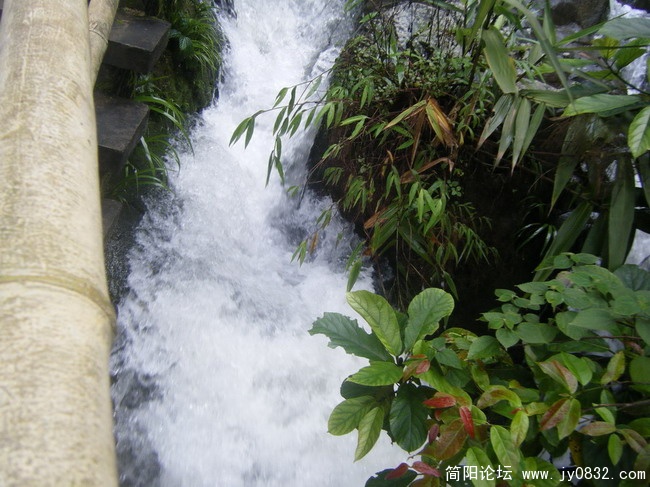 DSCF2218_缩小大小_缩小大小.jpg
