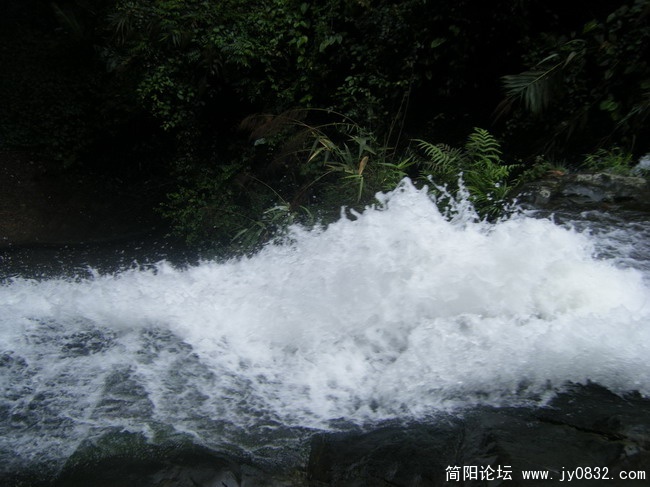DSCF2220_缩小大小_缩小大小.jpg