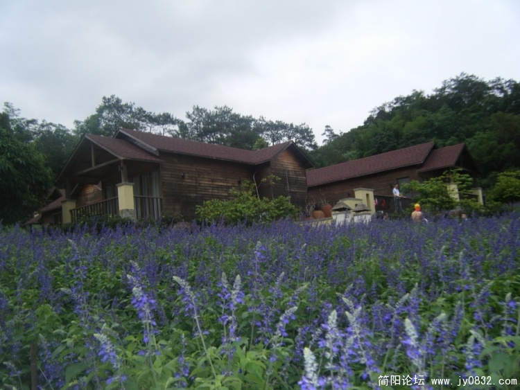 DSCF2256_缩小大小.jpg