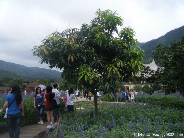 DSCF2260_缩小大小.jpg