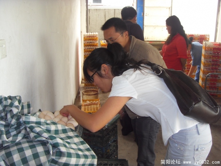 SDC19041.JPG