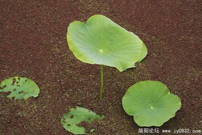 nEO_IMG_nEO_IMG_DSC02233.jpg