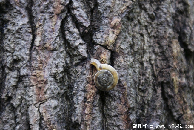 nEO_IMG_nEO_IMG_DSC02311.jpg