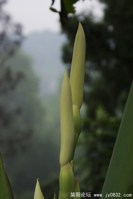 nEO_IMG_nEO_IMG_DSC02322.jpg
