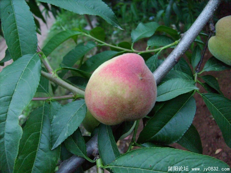 S7302166.JPG