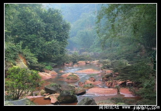 绿野.jpg